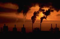 La contaminació afecta negativament en el desenvolupament pulmonar